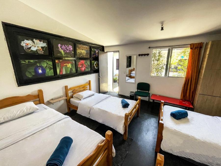El Yarumo Hostel Bogotá Exteriér fotografie